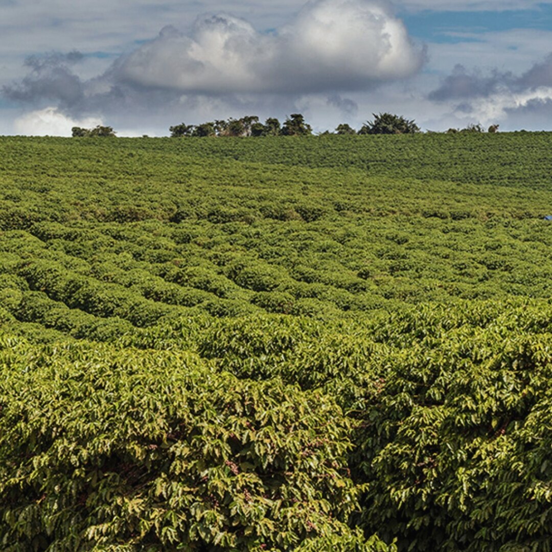 Chapada de Minas Natural 14/16