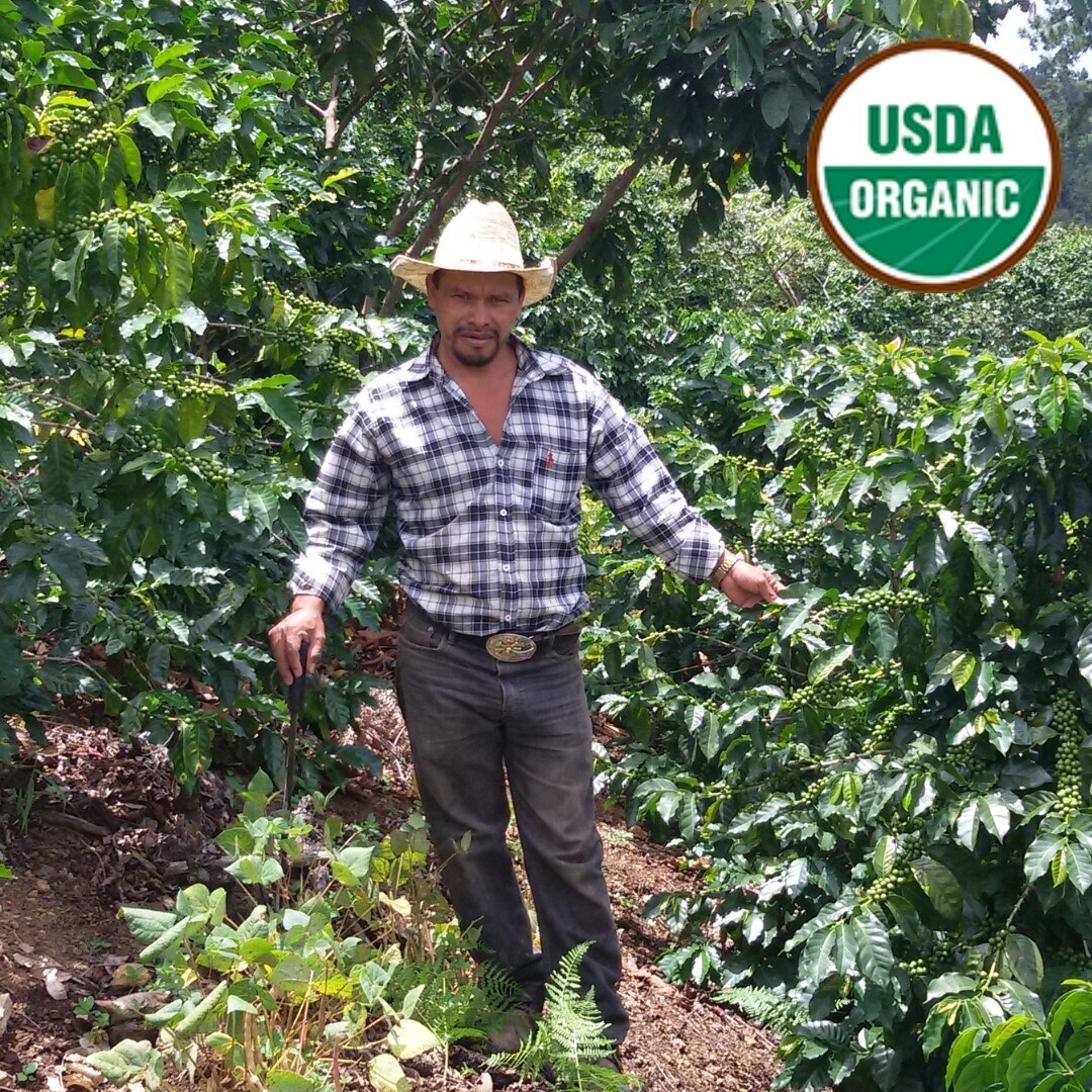 Organic Reserva Pacavita SHG EP