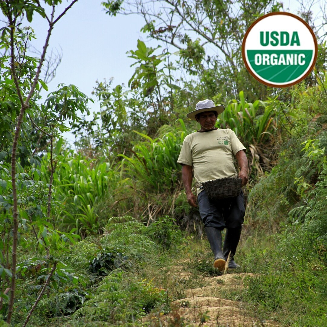 Organic Minca G1 Washed SHB/EP